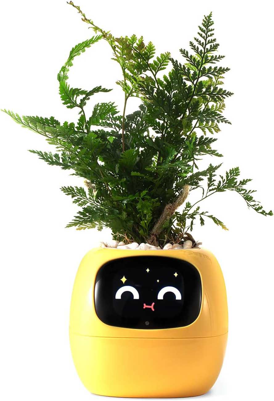 Ivy Smart Planter / 24-Hour Monitoring / Battery Powered / App Control / Yellow