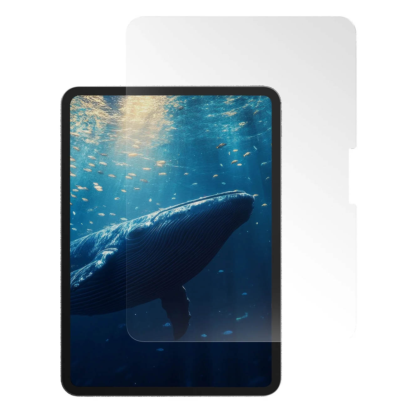 MagEasy Vetro Screen Protector for iPad Pro 11 inch / Anti-Blue Light / Clear Glass / 9H Hardness