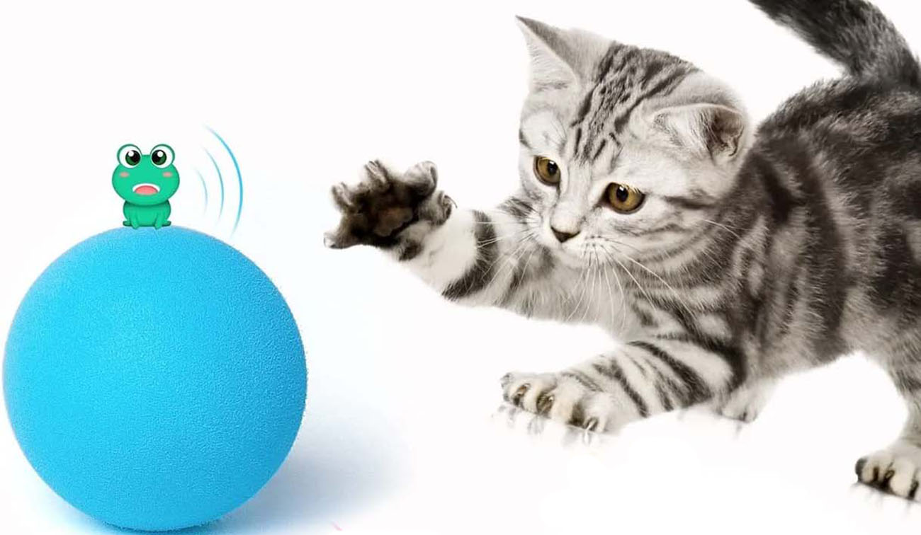 Chirpy Ball Pets Toy / With Frog Chirping Sound / Fun & Engaging / Blue