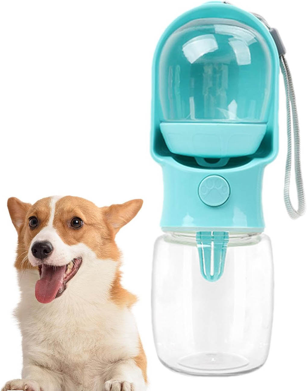 Portable Pets Water Bottle / Leak-Proof / Ideal for Travel / Blue