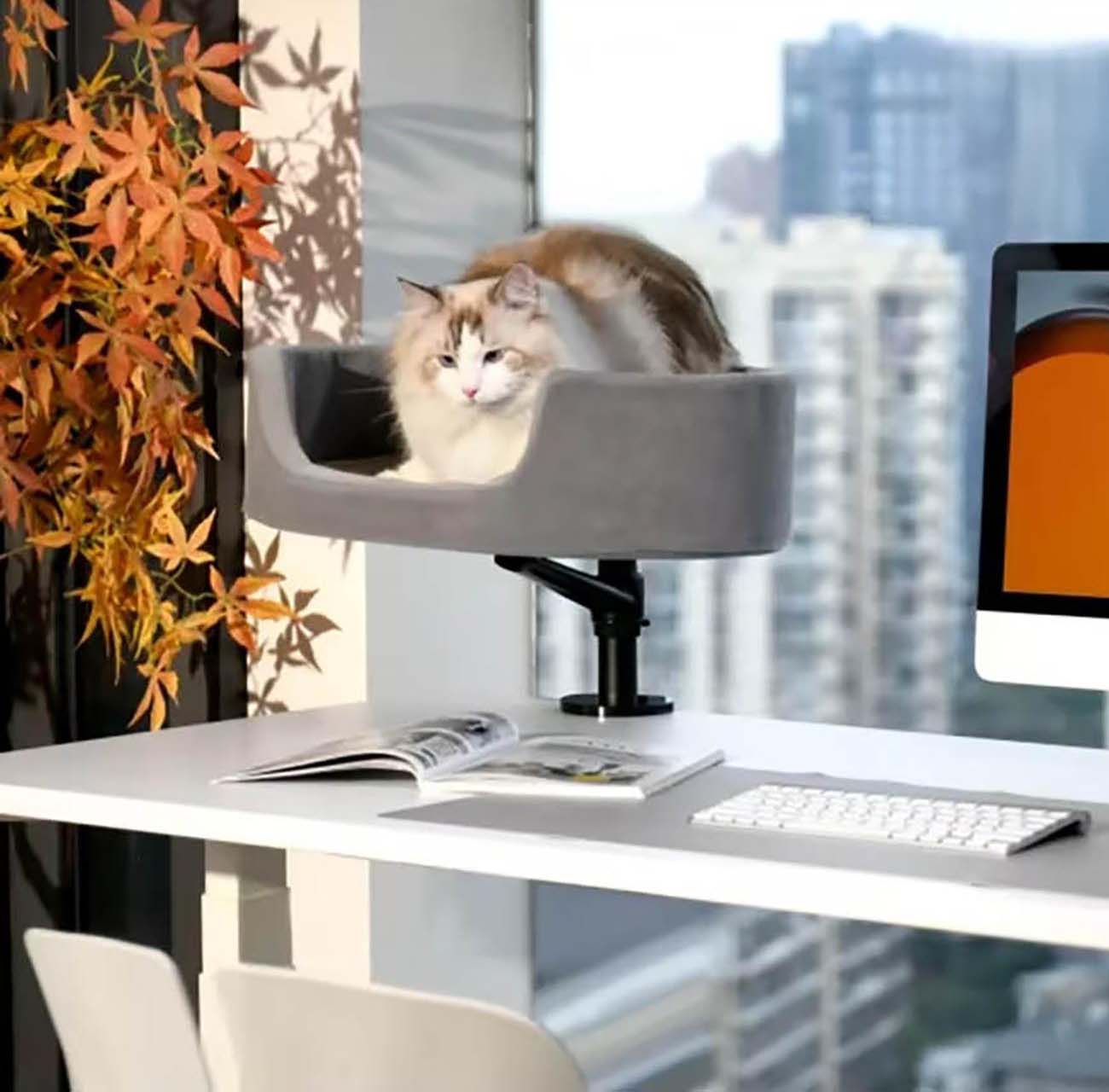 Cat Chair / Attaches to Table / Rotatable / Adjustable Height